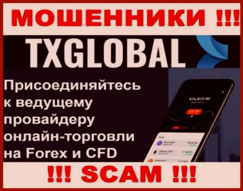 В глобальной интернет сети прокручивают делишки разводилы TXGlobal, сфера деятельности которых - Форекс