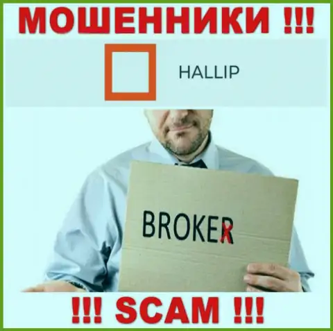 Тип деятельности шулеров Hallip Com - это Broker, но имейте ввиду это обман !!!