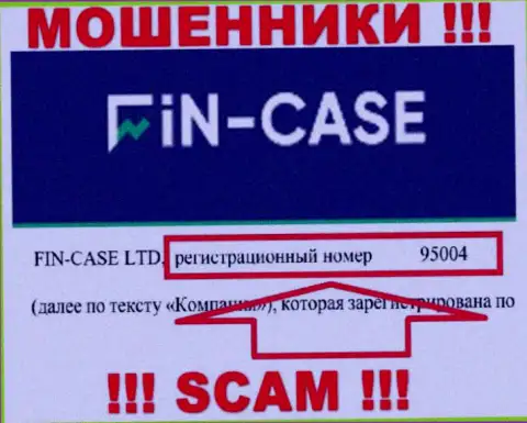 Номер регистрации организации Fin Case: 95004