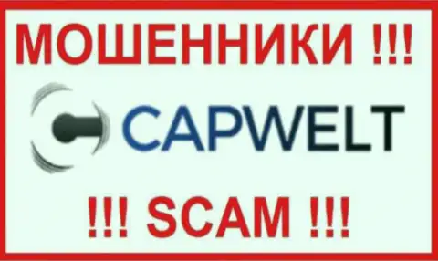 Cap Welt - это МОШЕННИКИ !!! Работать совместно довольно опасно !!!