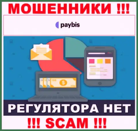 У PayBis на web-сервисе не опубликовано сведений о регуляторе и лицензии организации, а следовательно их вовсе нет