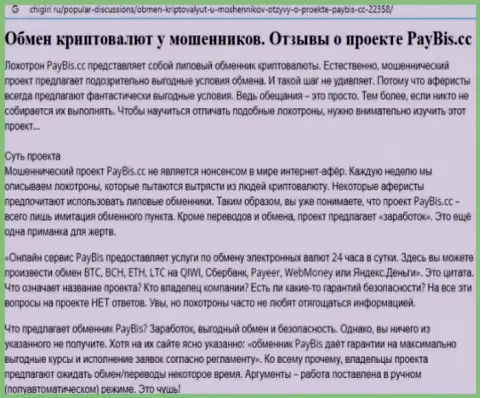 PayBis Com вложенные деньги не отдает, так что стараться не нужно (обзор мошеннических деяний)