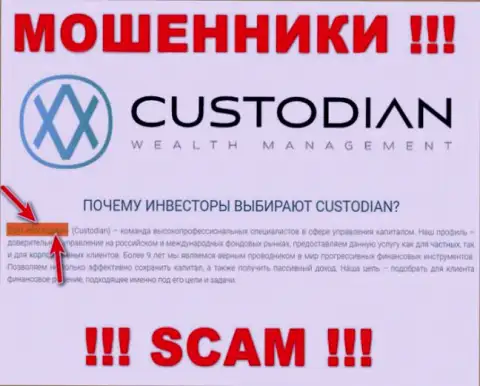 Юр лицом, владеющим интернет-мошенниками ООО Кастодиан, является ООО Кастодиан