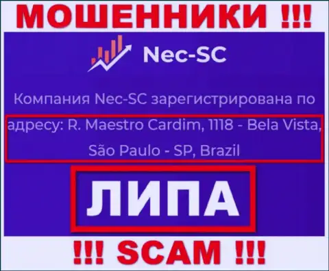 Где именно осела организация NEC SC неизвестно, инфа на веб-сервисе обман