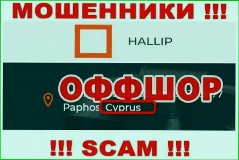 Разводняк Hallip Com имеет регистрацию на территории - Cyprus