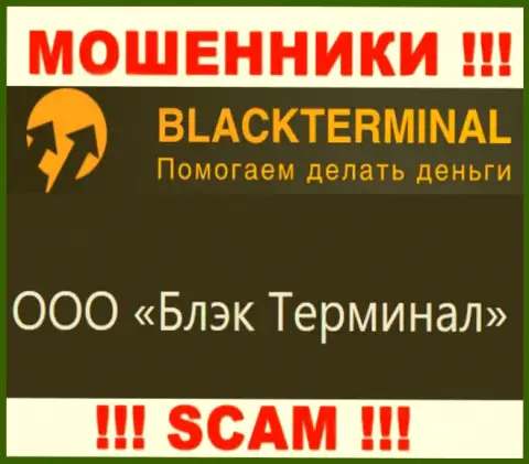 На официальном информационном сервисе BlackTerminal отмечено, что юридическое лицо организации - ООО Блэк Терминал