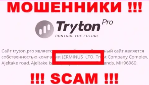 Инфа о юридическом лице TrytonPro - это компания Jerminus LTD