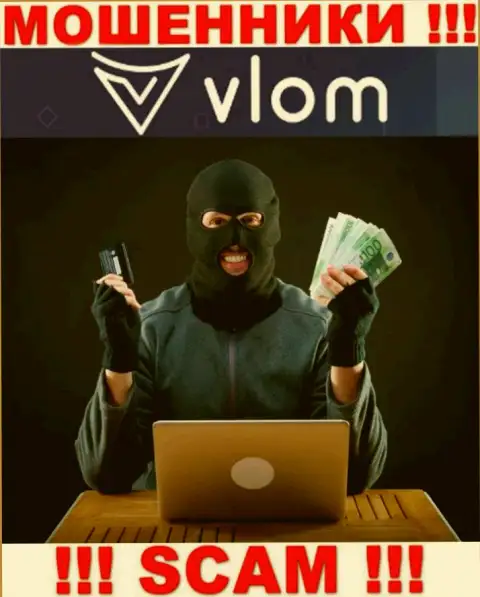 В Vlom Com вешают лапшу на уши доверчивым клиентам и втягивают к себе в лохотронный проект