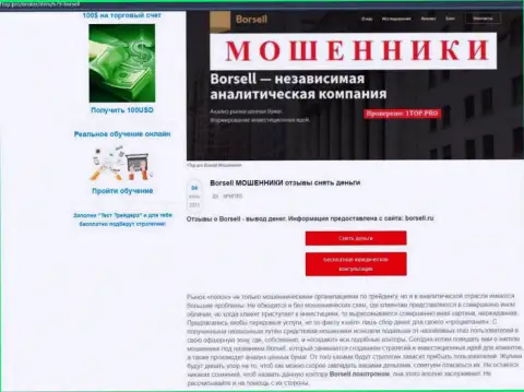 Обзор скам-конторы Борселл Ру - это МОШЕННИКИ !!!