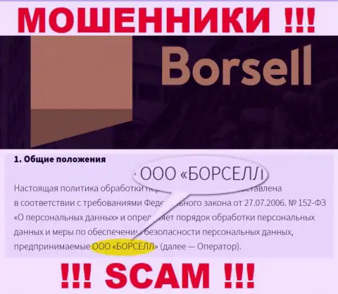Мошенники Борселл принадлежат юридическому лицу - ООО БОРСЕЛЛ