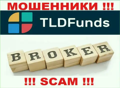 Основная деятельность TLDFunds Com - это Broker, осторожно, действуют преступно