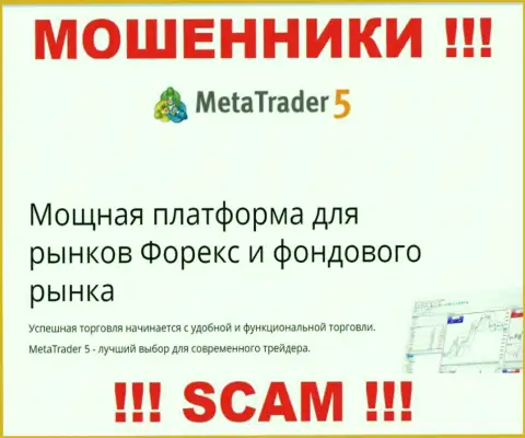 Весьма опасно взаимодействовать с internet мошенниками MetaTrader5 Com, направление деятельности которых Торговая платформа