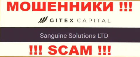 Юридическое лицо GitexCapital Pro - это Сангин Солютионс ЛТД, такую инфу предоставили ворюги на своем сайте