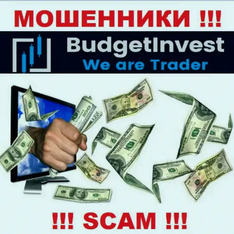 Все обещания работников из дилинговой компании Budget Invest всего лишь пустые слова - это МОШЕННИКИ !!!