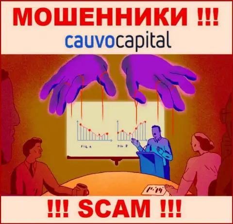 Не нужно соглашаться взаимодействовать с internet мошенниками Cauvo Capital, крадут финансовые средства