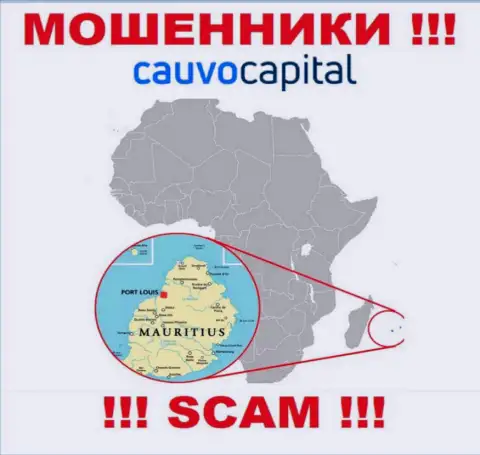 Контора CauvoCapital Com похищает денежные средства наивных людей, зарегистрировавшись в офшоре - Mauritius