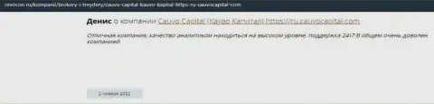 Дилинговая организация CauvoCapital представлена в отзыве на web-сервисе Ревокон Ру