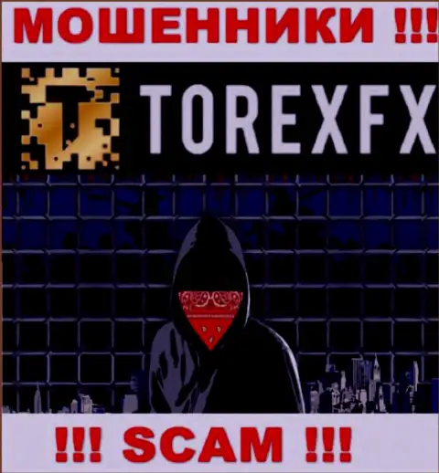 TorexFX скрывают информацию об руководителях компании