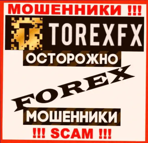 Направление деятельности TorexFX: Форекс - отличный доход для internet-мошенников